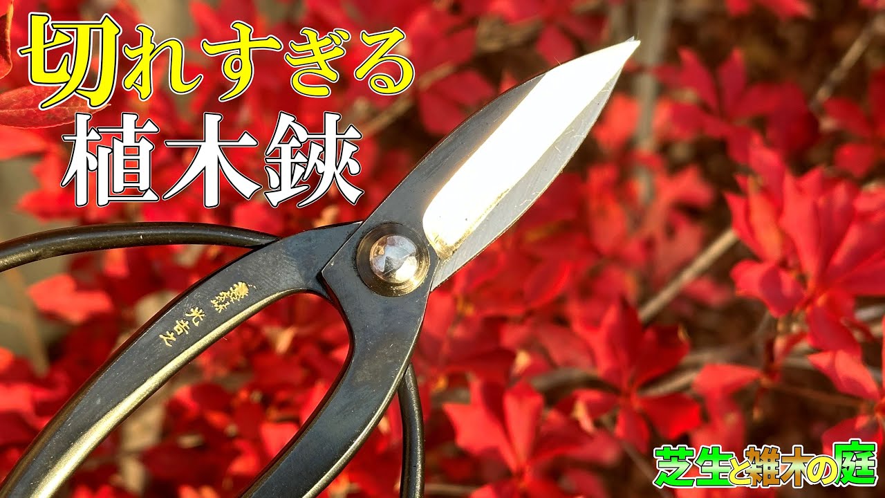 植木鋏】切れる！切れすぎる！内緒にしておきたかった植木鋏！Japanese