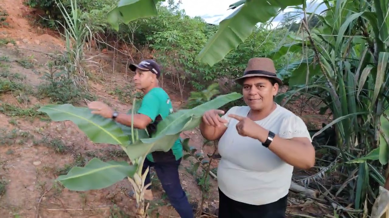 27 de janeiro de 2026