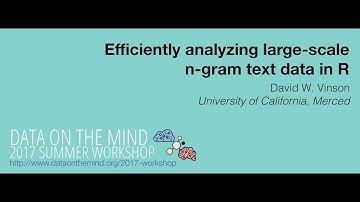 [Data on the Mind 2017] Efficiently analyzing large-scale n-gram text data in R