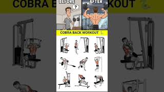 🐍 Cobra Back | Built Different 💪🔥