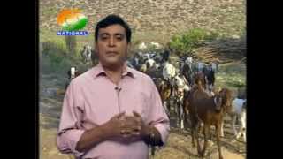 Download Krishi Darshan National 02 Video MP3 Krishi Darshan National 02