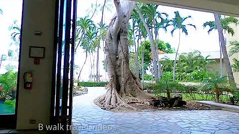 [4K] WALKING LIFE WAIKIKI BEACH  Hawaiian Ala Moana Honolulu Hawaii NIGHT 2022 Walking Tour & Travel