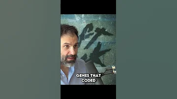 Jonathan Kennedy Viral DNA In The Human Genome 