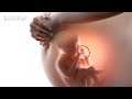 Que significa soñar con bebe - YouTube