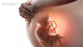 Cosas increíbles que un bebé hace dentro del vientre