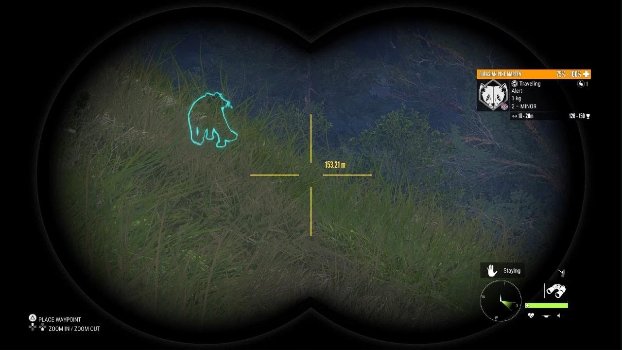 Rare badger woooooop woooooop