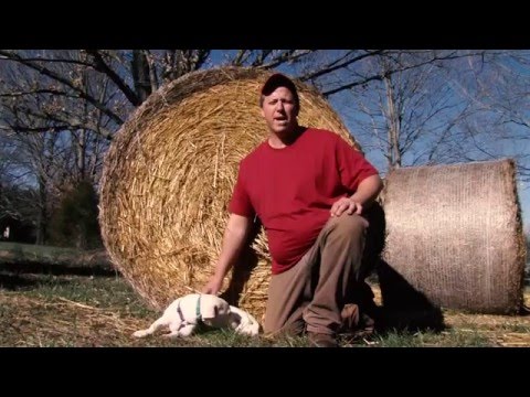 A Day in the Life of a Poolesville Farmer