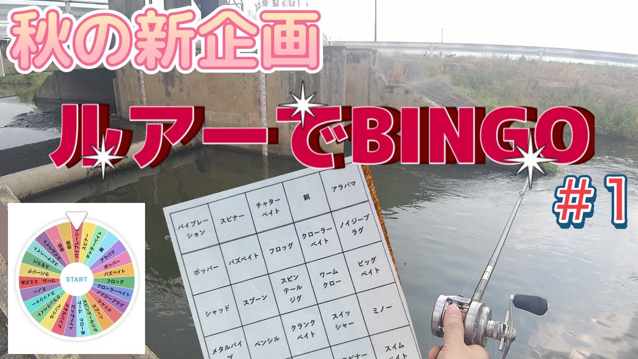 【バス釣り】釣ったルアーでビンゴを目指す