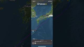 NH1263 FSZ-OKA Final flight #airplane #aeroplane #japan #plane #flightradar24 #boeing #b737