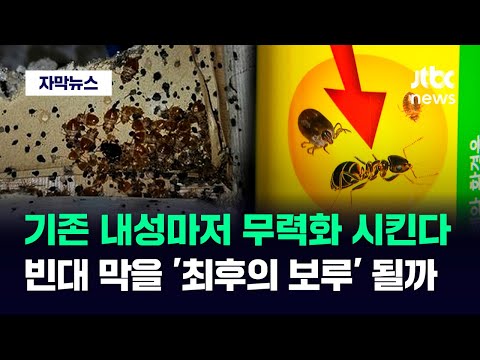 [자막뉴스] 전국서 확산 중인 &amp;#39;<strong>빈대</strong> 사태&amp;#39;…이걸로 박멸 가능해진다 / JTBC News