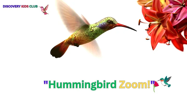 Hummingbird Song #toddlersong #preschoolsong #playgroupsong #hummingbird