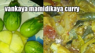 vankaya mamidikaya curry| NELLORE SPECIAL vankaya mamidikaya curry in telugu.వంకాయ మామిడికాయ కర్రీ