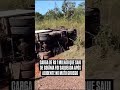 🚨 Carga avaliada em R$ 1 milhão é saqueada após tombamento na BR-070, em Mato Grosso #viralreels