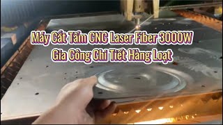 Cắt Tấm CNC Laser Fiber Gia Công Chi Tiết Hàng Loạt - IronTek - IR-3015F/3E