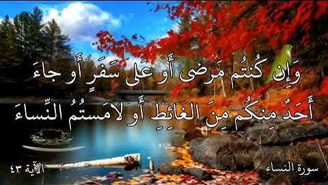 ما تيسر من سورة النساء - الآية ٤٣