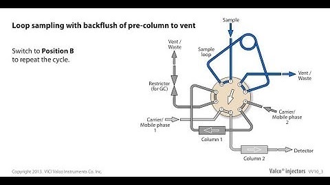 Valco loop sampling with backflush of pre column to vent