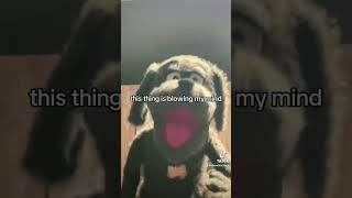 Rufus singing Man in the Mirror