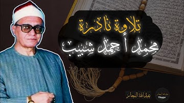 إبداع وخشوع الشيخ شبيب من سورة النمل🤍