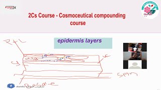 epidermis layers in the skin  - طبقات الجلد