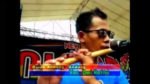 BULAN ANDUNG ANDUNG DWI RATNA NEW PALLAPA