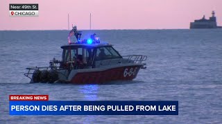 Person dies after being pulled from Lake Michigan near Hyde Park: police