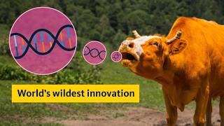Gene editing will change our world – just NOT how you think