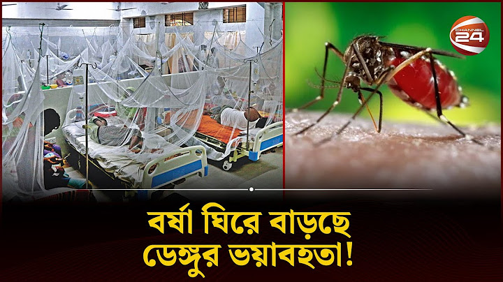 ডেঙ্গুর আরও ভয়ঙ্কর রুপ দেখার আশঙ্কা করছেন বিশেষজ্ঞরা | Dengue Chattogram | Channel 24