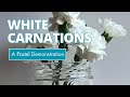 White carnations in pastel demonstration
