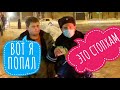 Рейд со СтопХам | ДПС штрафует на тротуаре | Свободу Кириллу Бунину