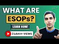 ESOP - Employee Stock Option Plan EXPLAINED in Hindi | Ankur Warikoo Startups | Startup Video