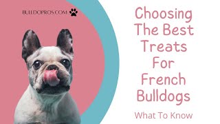 Choosing The Best Treats for French Bulldogs: What To Know