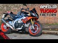 2019 Tuono Factory Review | What A BIKE!!