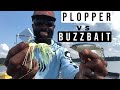 Whopper Plopper VS Buzzbait | What’s the Difference