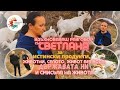Only In Bulgaria Do The Herbs Smell Says Svetlana Who Makes Real Cheese And Cosmetics 