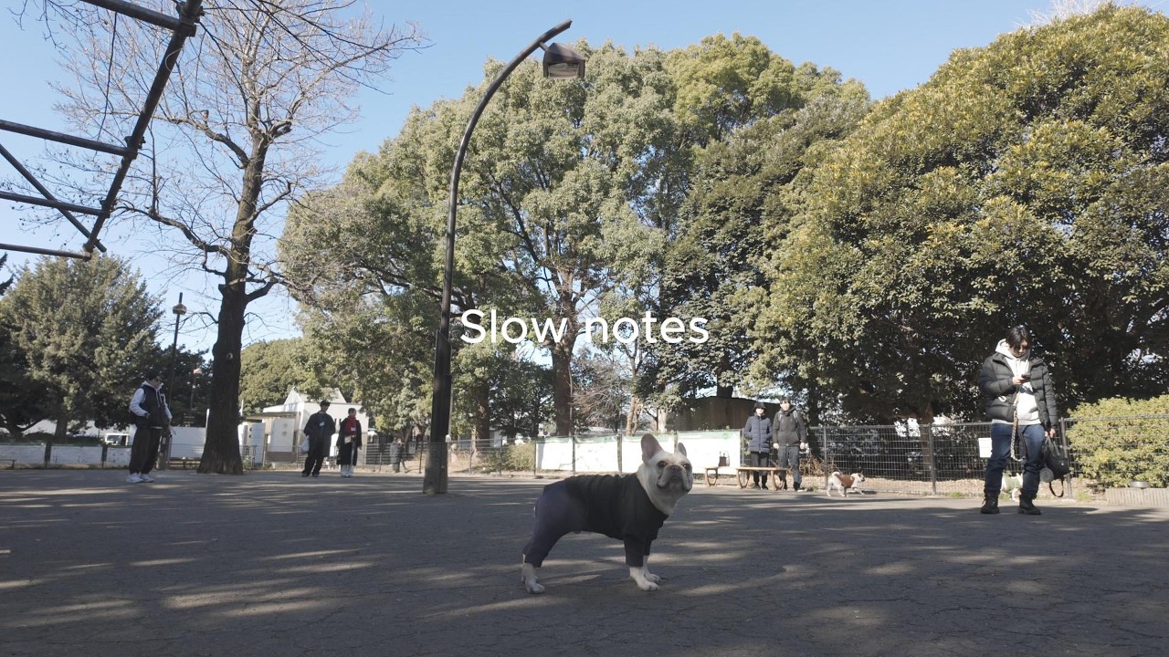 愛犬と過ごす休日vlog| 都内カフェとドッグランを楽しむ２日間| slow life