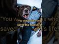 You Won’t Believe Who Saved This Man.#rescue souls network#rescue#shorts#helping others#usa