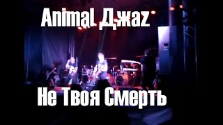 Miniatura de vídeo de "Animal ДжаZ – Не Твоя Смерть. Наживо. Республіка фест 2016"