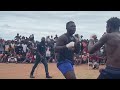 Musangwe overated fight bunny weiler vs killer