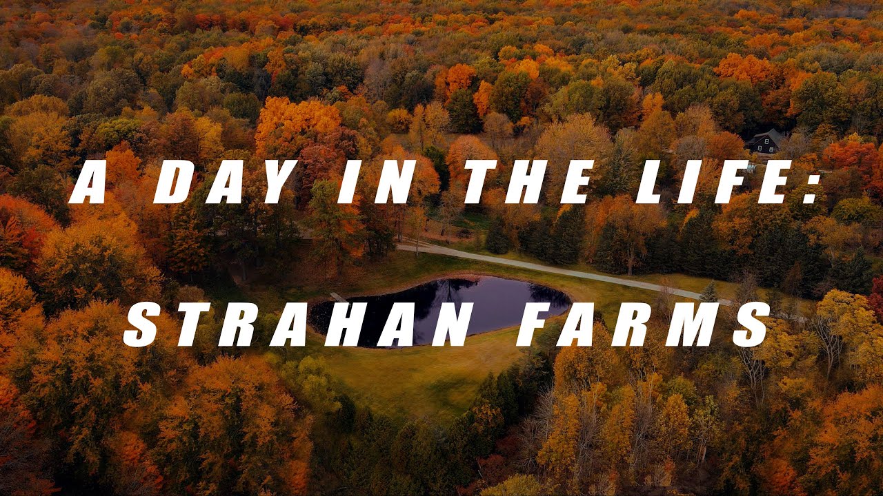 A Day in The Life Strahan Farms YouTube