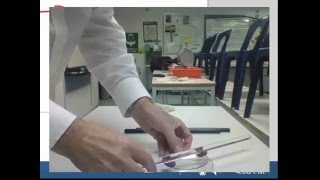 Static electricity introduction