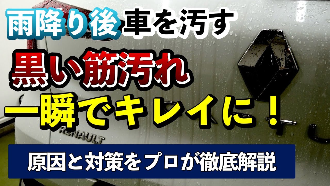 【誰でもできる】ドアノブやミラーの黒筋汚れの原因は雨ではない！原因と対策を洗車のプロが教えます【SUVの洗車の基本】ルノー キャプチャー