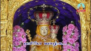 🔴 Live 30 August 2025 @ Vailankanni Shrine Basilica