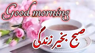 Subah b khair zindagi|| good morning WhatsApp status || quotes of the day