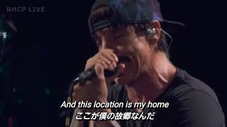 Download lagu 【和訳】Sick Love ‐ Red Hot Chili Peppers (Live)