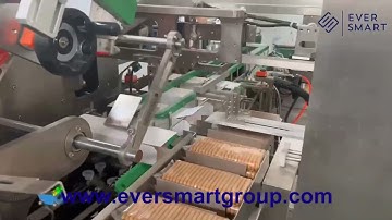 Biscuit automatic feeding/packaging/cartoning system