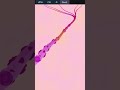 Memorable Path Drow in HTML5, CSS3 and JavaScript 🔥🔥🔥🔥#programming #programmer #viral #ytshorts
