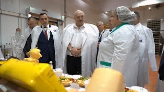 Лукашенко: Завидую я вам! Вы всегда кушаете свежий сыр! // Поставы