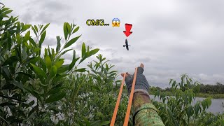 Slingshot M72 - Lại Tiếp Tục Săn Hàng Bay (tt) || Hunting flying birds with a slingshot