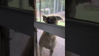 Hello? Is It Me Youre Looking For?