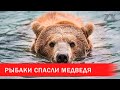 Рыбаки спасли медведя  | Зона Х